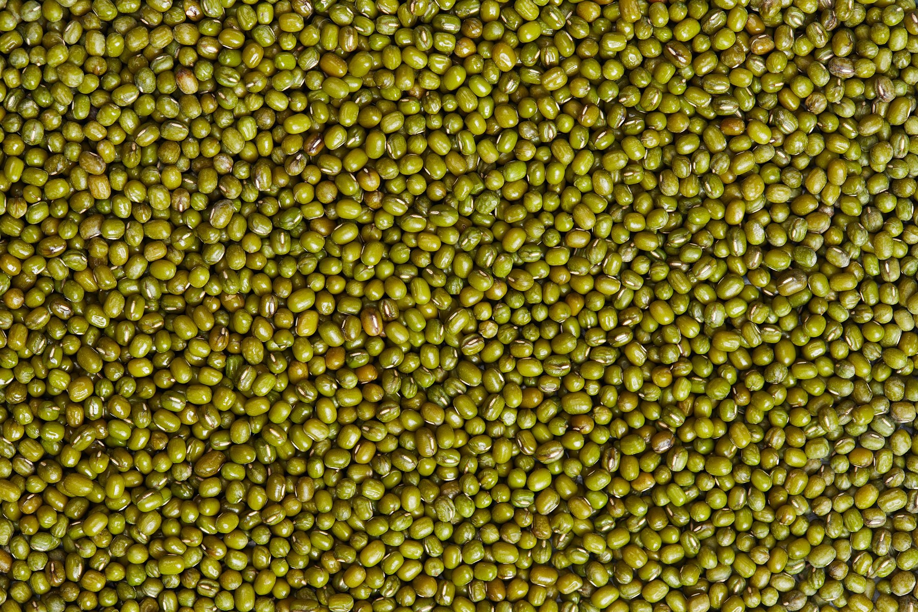 Legumbres verdes al detalle